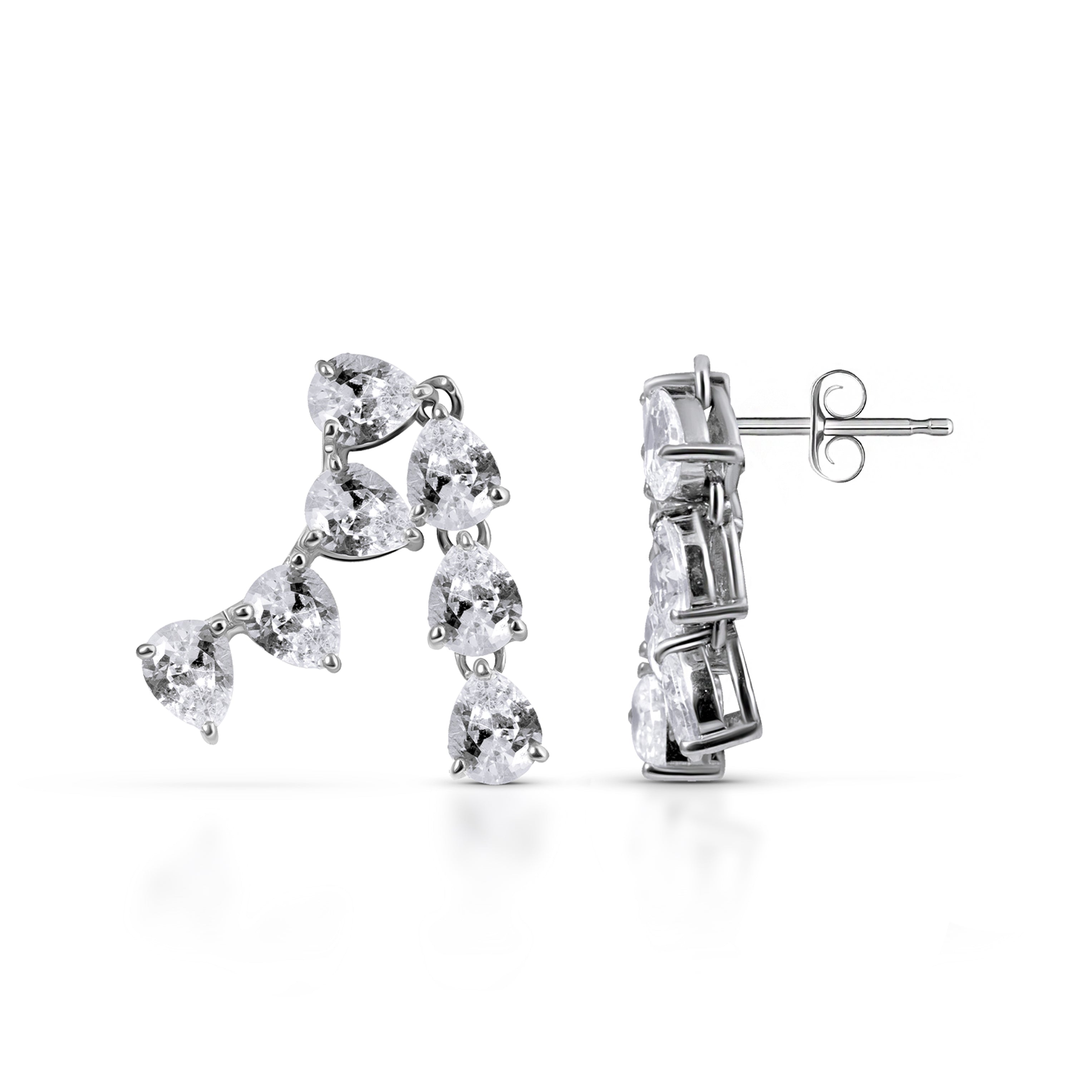 Begonia AAA Zircon Silver Earrings