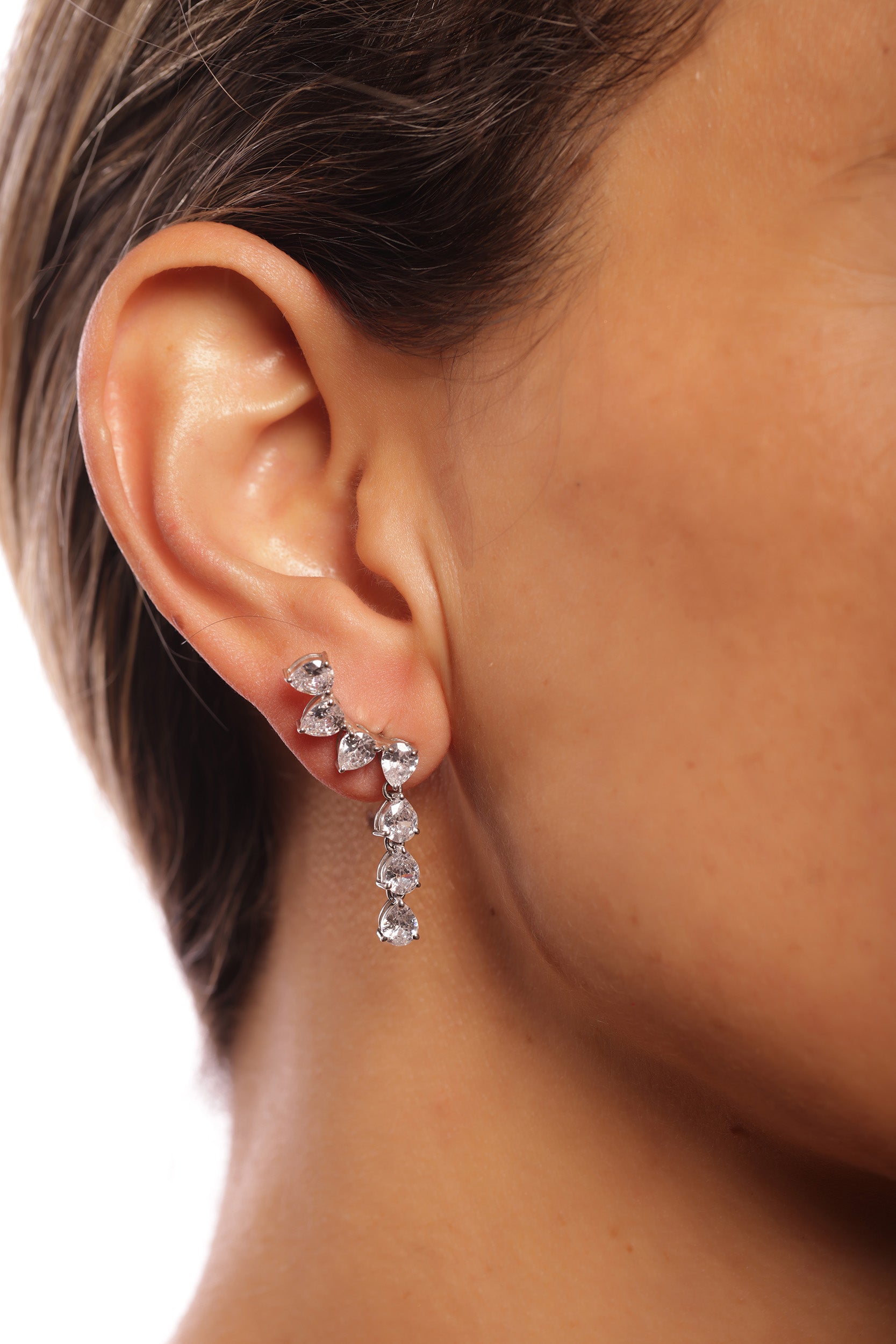 Begonia AAA Zircon Silver Earrings